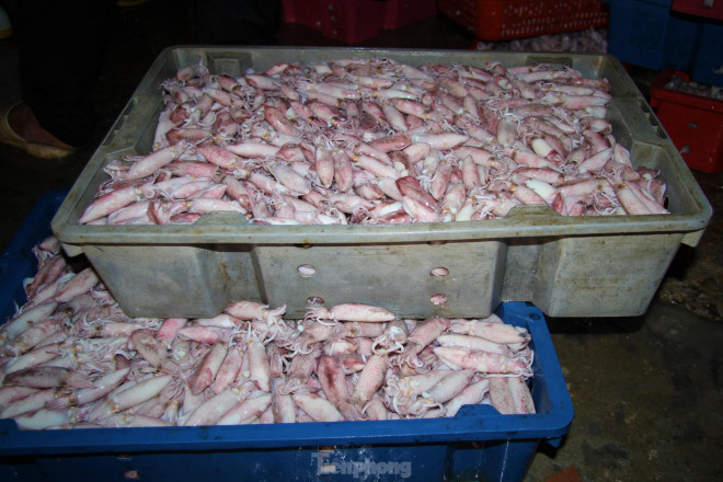 Giá của mực dao động từ 100.000 đồng - 140.000 đồng / 1 kg tùy thuộc vào từng kích cỡ khác nhau. Cụ&nbsp;thể, với mực cỡ nhỏ (45-50 con/1 kg) giá 100.000 - 110.000 đồng, mực cỡ vừa (30-35 con/ 1 kg ) giá 140.000 đồng, mực lớn hơn thì giá dao động lên đến 160.000 đồng/ 1 kg.