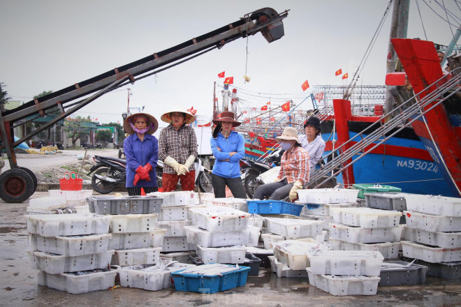 Chị Đinh Thu Hồng (xã Quỳnh Tiến) cho biết : “Mình là người nội trợ nên rất để ý cách chọn và nhận biết hải sản tươi ngon. Mực hấp sẵn cầm lên thấy săn chắc, khô con và có màng đốm nháy vẫn còn nguyên trên da là tươi và ngon.”