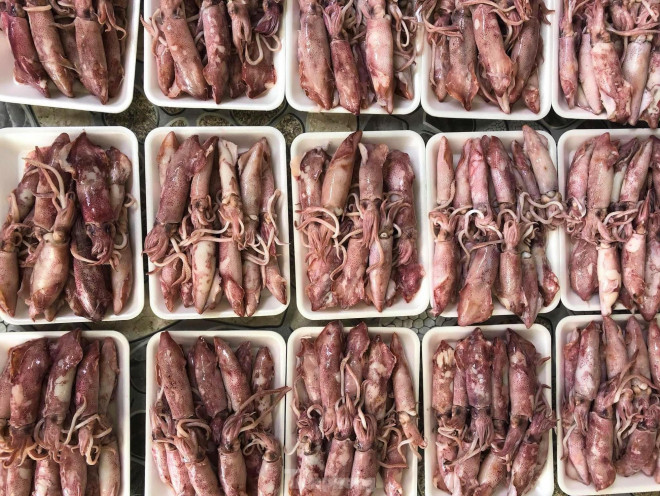 Ngư dân Nghệ An thu hàng trăm triệu mỗi chuyến từ mực luộc tươi trên tàu - 11