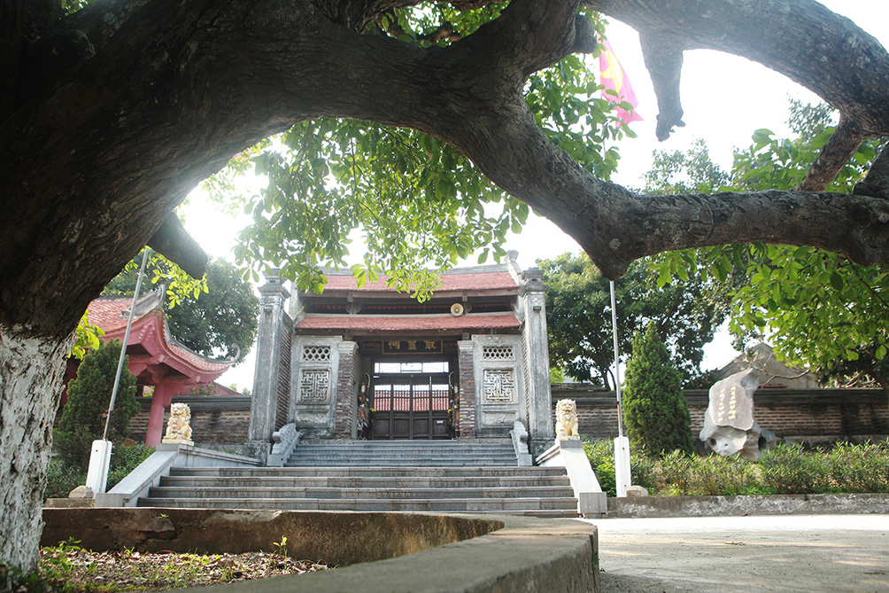 Ông Trần Bá Tuyến (73 tuổi), cán bộ Ban Quản lý di tích đền thờ Trần Nguyên Hãn cho biết, do có sự trông nom, chăm sóc và bảo vệ nên dù trải qua bao biến thiên của thời gian, các cây di sản vẫn xanh tươi, rợp bóng mát và trở thành điểm sinh hoạt văn hóa, tín ngưỡng của nhân dân địa phương