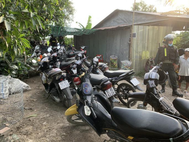 Trong số 21 đối tượng, "quý bà" chiếm phân nửa