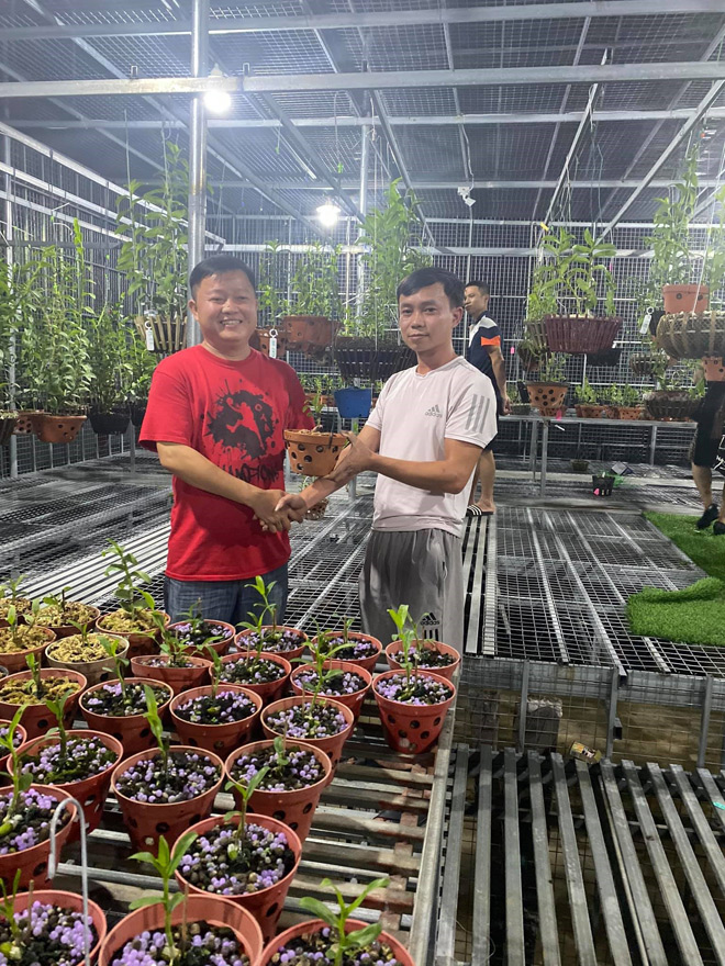 Bùi Quyết Tiến: Người đàn ông “si mê” với thú chơi lan tao nhã - 2