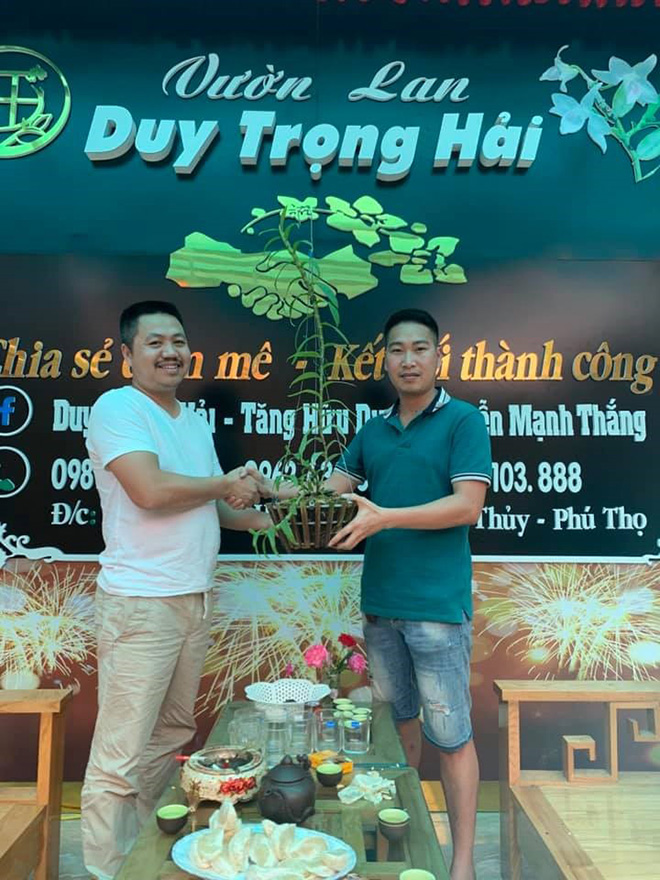 Cùng ông chủ Duy Trọng Hải chia sẻ bí quyết chọn và trồng phong lan - 2