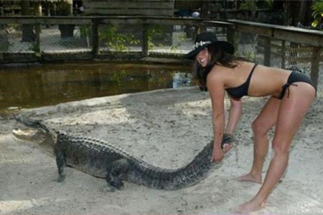 Cá sấu không sợ chị thì thôi chứ chị sao phải sợ cá sấu.
