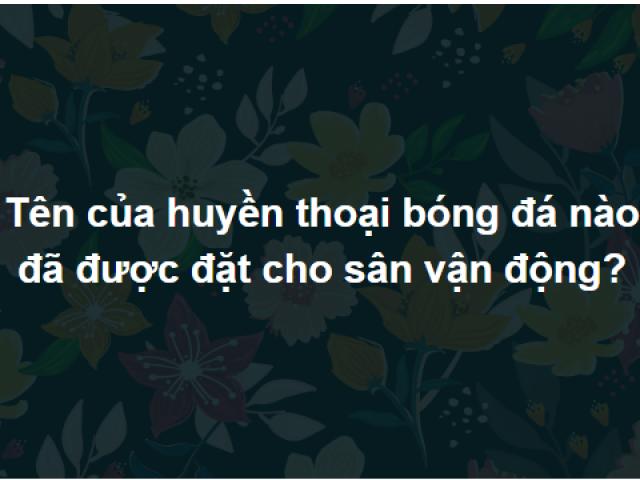 Giáo dục - du học - Thử thách trí tuệ bằng bộ câu hỏi siêu "hack não"