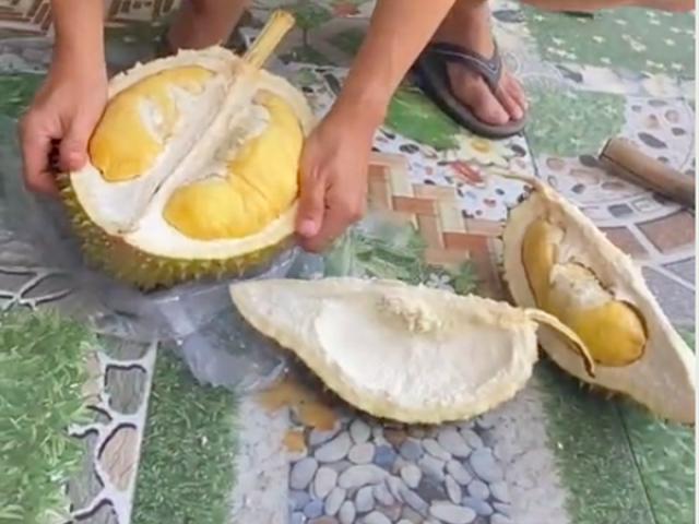Thị trường - Tiêu dùng - Chàng trai "khui" trái sầu riêng nặng 5kg với giá 600k, dân mạng không ngừng tranh cãi điều này