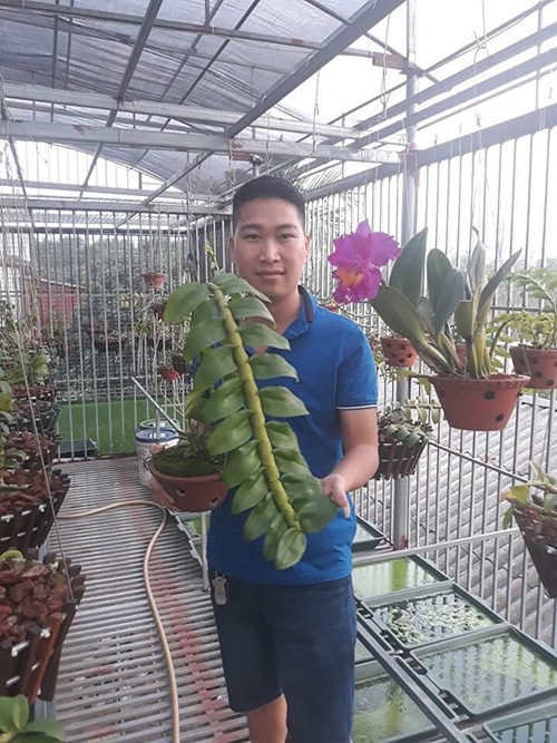 Cùng ông chủ Duy Trọng Hải chia sẻ bí quyết chọn và trồng phong lan - 5