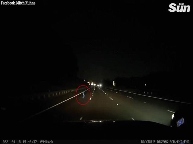 Phi thường - kỳ quặc - Báo cảnh sát vì suýt đâm phải "đứa trẻ" trên cao tốc, nhận kết quả bất ngờ 