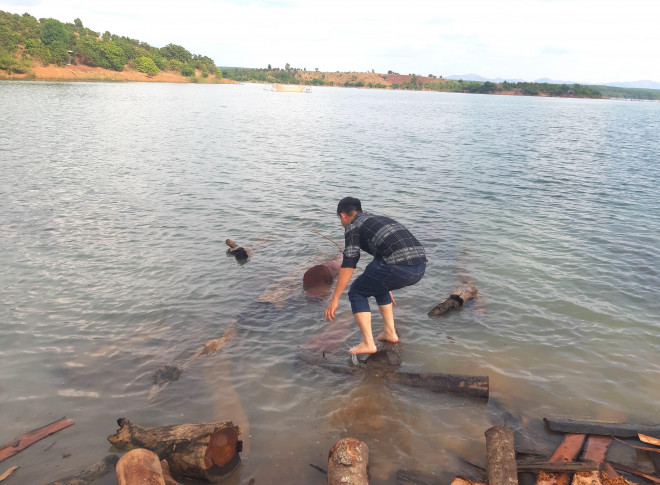 Nhóm phóng viên nhận tin từ người dân phản ánh việc gỗ lậu xuất hiện bạt ngàn ở bờ sông Sê San