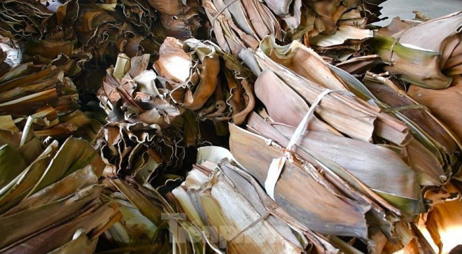 Mỗi mo cau được thu mua với giá 1.000 đồng giúp nhà vườn có thêm thu nhập. Ảnh: Nguyễn Ngọc