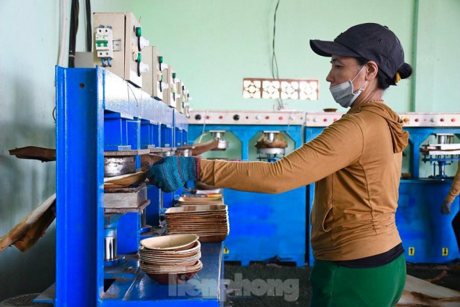 Mỗi máy sản xuất có 5 khuôn để tạo ra 5 mẫu chén dĩa kích thước khác nhau với công suất 200 sản phẩm/máy/ngày. Ảnh: Nguyễn Ngọc