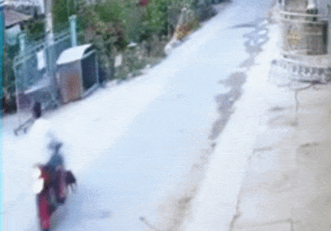 SỐC: Lái xe máy chèn ngang con chó đen ngã văng xuống đường - 1