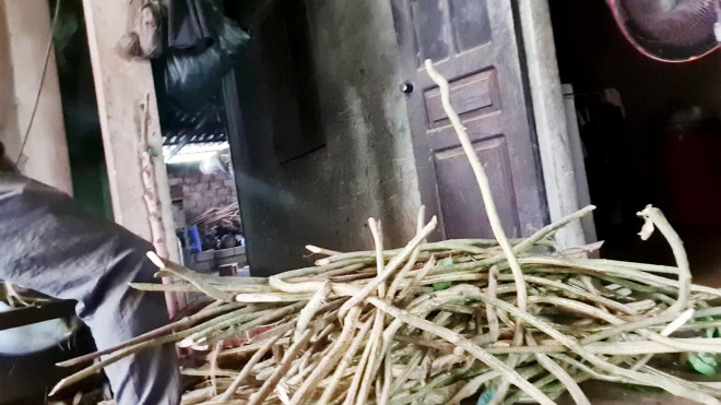 Sau khi cắt nhỏ sẽ vứt khắp nền nhà