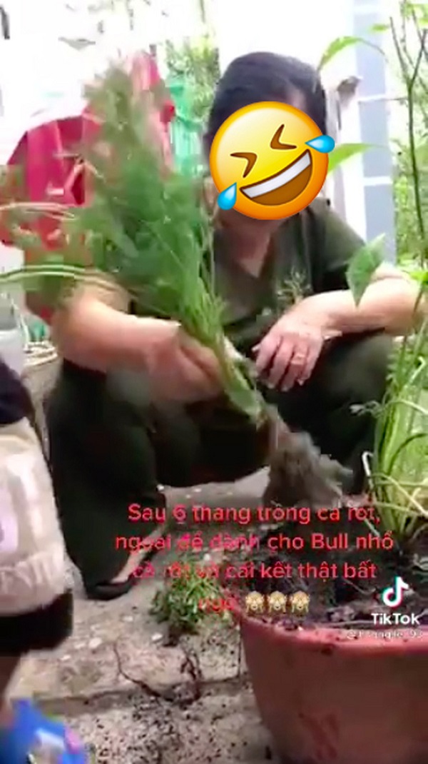 Hai bà cháu nhận cái kết không thể "đắng" hơn.