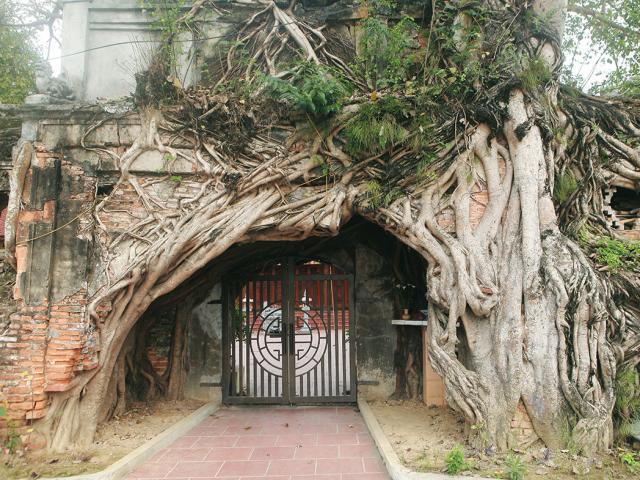 Tin tức trong ngày - Ngắm "kiệt tác" cổng đình được người dân xem như "báu vật"