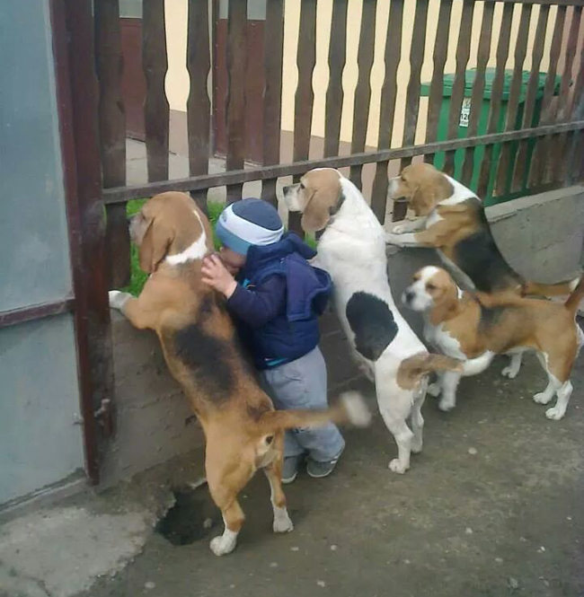 Ngoài kia có gái xinh kìa anh em ơi.
