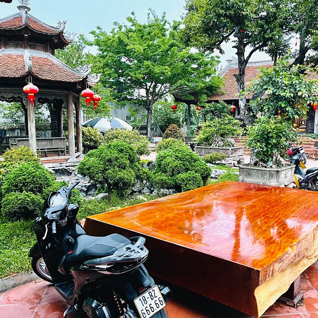 Khuôn viên sân vườn rộng rãi, được &#34;phủ xanh&#34; bởi nhiều cây bóng mát. Ngoài ra, gia chủ còn bố trí nhiều cây kiểng, cây bonsai, vừa tạo cảnh quan đẹp mắt, vừa thỏa mãn niềm đam mê với thú chơi sang. (Ảnh: Lại Thế Hiển)

