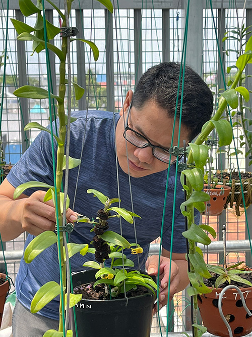 Ông chủ vườn lan Trần Chiến và cơ duyên rẽ lối sang hoa lan - 2