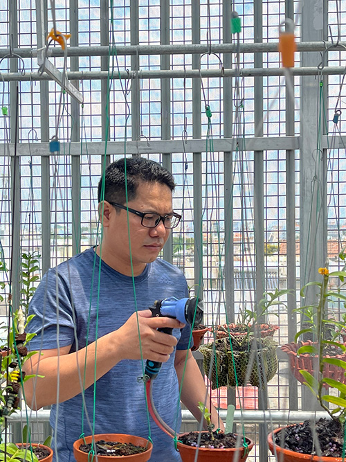 Ông chủ vườn lan Trần Chiến và cơ duyên rẽ lối sang hoa lan - 3