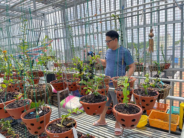 Ông chủ vườn lan Trần Chiến và cơ duyên rẽ lối sang hoa lan - 4