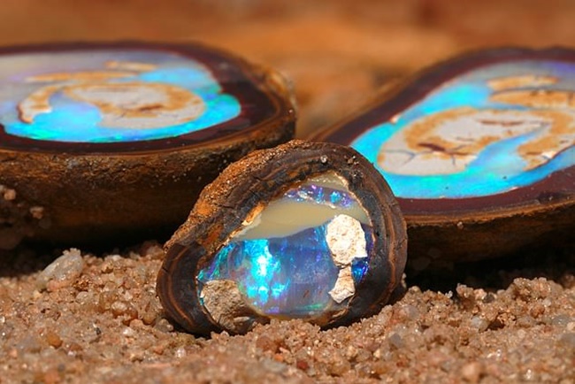 Mới đây, 2 anh em đã tìm thấy những viên đá đắt đỏ này tại khu vực hẻo lánh ở Australia.
