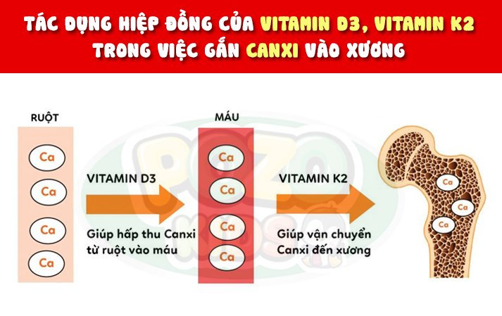 Pozokids - Vitamin K2 tinh khiết giúp bé bứt phá chiều cao - 2