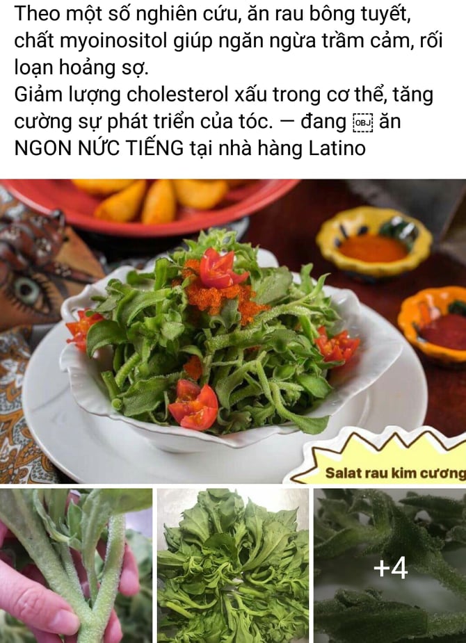 Món salat rau bông tuyết tại các nhà hàng