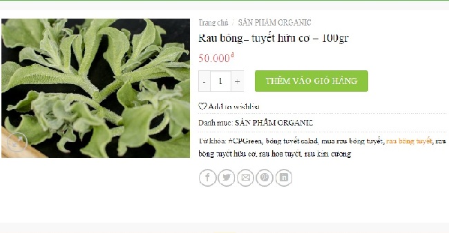 Rau bông tuyết có giá đắt đỏ