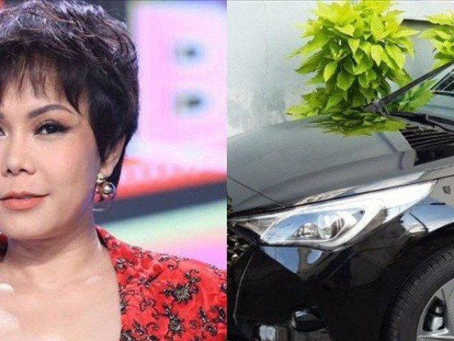 Thị trường - Tiêu dùng - Việt Hương tiếp tục chơi lớn, tậu thêm xế hộp tặng "trai đẹp"