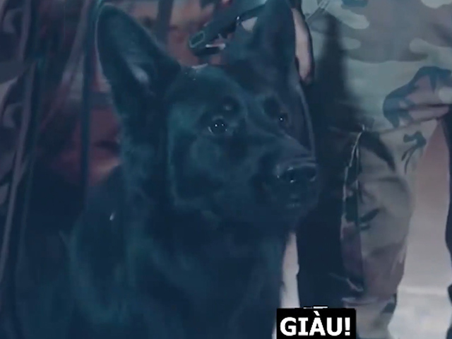 Clip hài hước - Người đàn ông bị chế giễu vì có chú chó "nói tiếng người" và cái kết