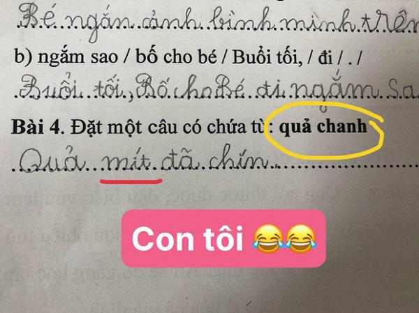 Cậu nhóc làm bài tập tiếng Việt khiến dân mạng cười ngặt nghẽo, cô giáo cũng "bó tay" - 5