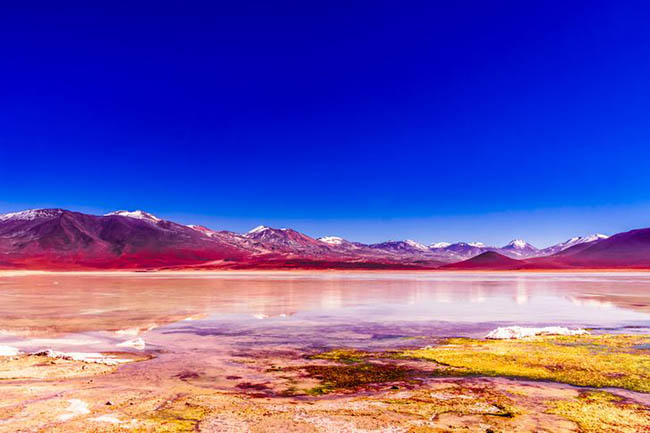 8. Laguna Colorada là một hồ nước trên núi cao ở Bolivia, nó có màu hồng nhạt do chứa nhiều khoáng chất. Hồ này nằm trong lãnh thổ của một công viên quốc gia và được khách du lịch yêu thích. Đây còn là nơi sinh sống của loài hồng hạc James nổi tiếng, hồng hạc Andean và Chile. Nếu may mắn, bạn có thể nhìn thấy những điệu nhảy giao phối của chúng.
