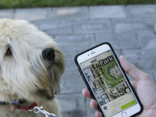 Kinh doanh - Thám tử thú cưng: Ngành kinh doanh mới lạ, mỗi vụ kiếm hàng trăm USD