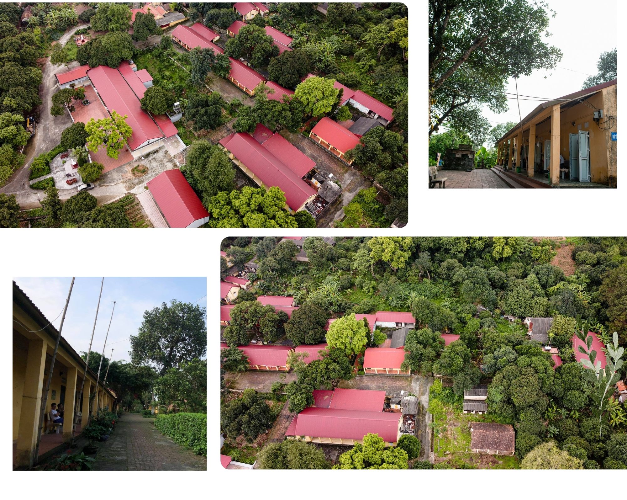 Ký ức đau xót của những người mắc căn bệnh quái ác, khỏi bệnh cũng không dám về quê - 4