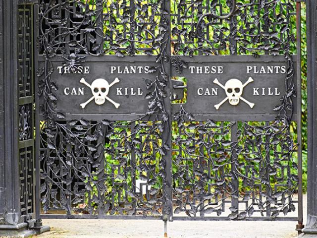 Du lịch - Du khách hoảng hồn khi bước vào khu vườn nguy hiểm nhất Thế giới