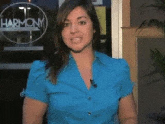 Tranh vui - Hài hước với những chú mèo nghịch ngợm thích "phá đám"