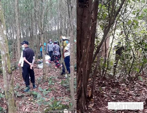 Nơi người dân phát hiện thấy thi thể người đàn ông là một rừng keo.