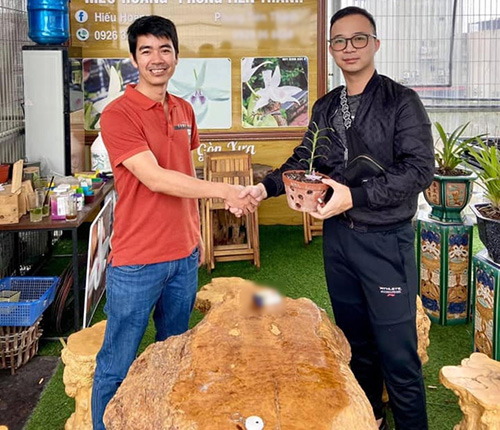 Nghệ nhân Hoàng Đình Hiếu mãn nhãn với mô hình trồng hoa lan - 1