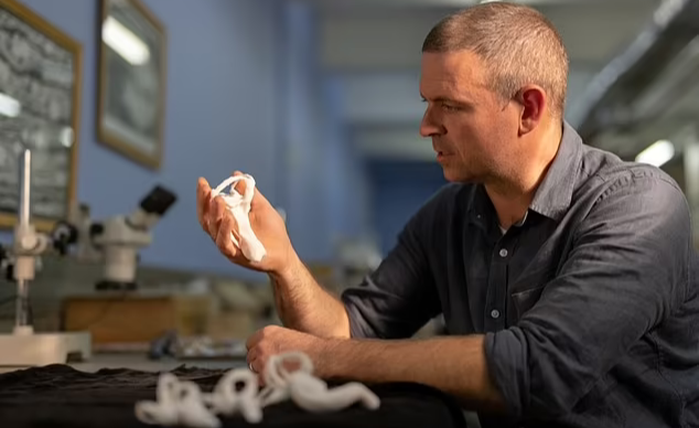 Các mẫu vật được phân tích tại phòng thí nghiệm - Ảnh do nhóm nghiên cứu cung cấp