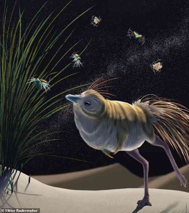 Chân dung "ma cà rồng" kỷ Phấn Trắng - Ảnh: Viktor Rademaker