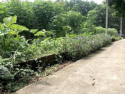 Kinh doanh - Đủ chiêu “bẻ” cọc khi cơn “sốt” đất đi qua