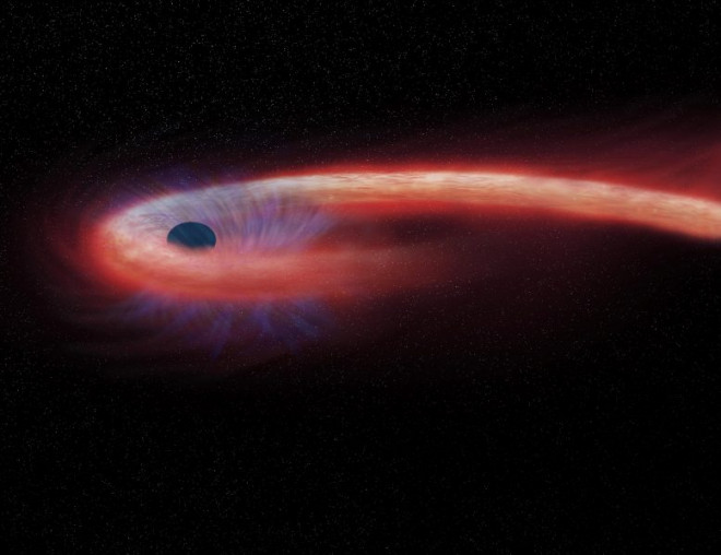 "Chân dung" ngôi sao hình sợi mì đang quấn chặt lỗ đen - Ảnh:NASA / CXC / M. Weiss