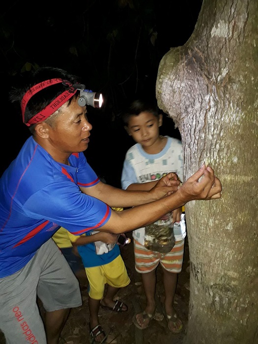 Anh Tám cùng các con háo hức đi săn "đặc sản mùa hè".