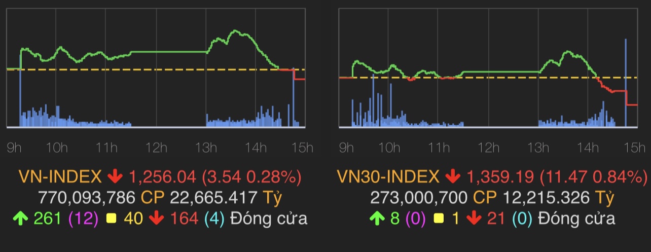 VN-Index giảm 3,54 điểm (0,28%) xuống 1.256,04 điểm.