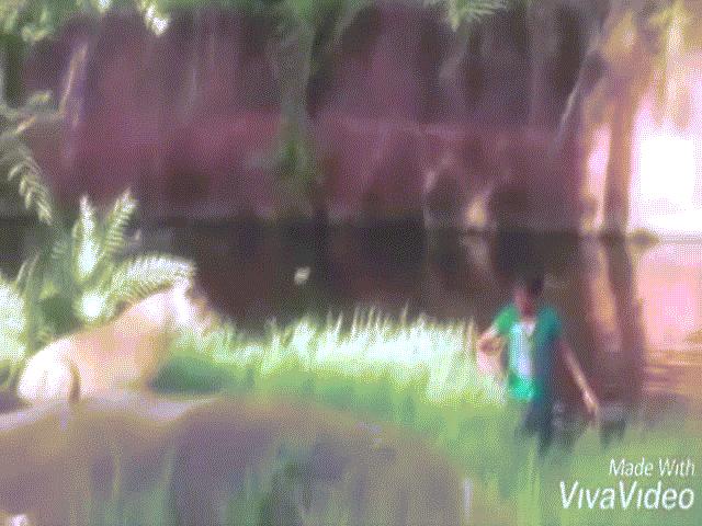 Bạn trẻ - Cuộc sống - Clip: Đỉnh cao say xỉn, người đàn ông vào chuồng sư tử "cãi nhau"