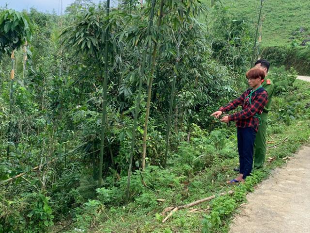 Pháp luật - Màn kịch tinh vi của anh trai sát hại em ruột 3 tuổi rồi loan báo... đi lạc