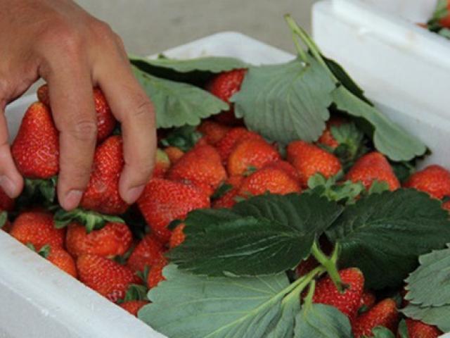 Thị trường - Tiêu dùng - Nhìn vào đặc điểm này, biết ngay hàng Trung Quốc "đội lốt" hàng Việt