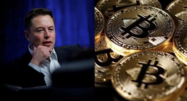 Sự "mong manh" của tiền ảo: Elon Musk vừa đăng bài, chỉ 45 phút sau Bitcoin rớt giá mạnh - 3