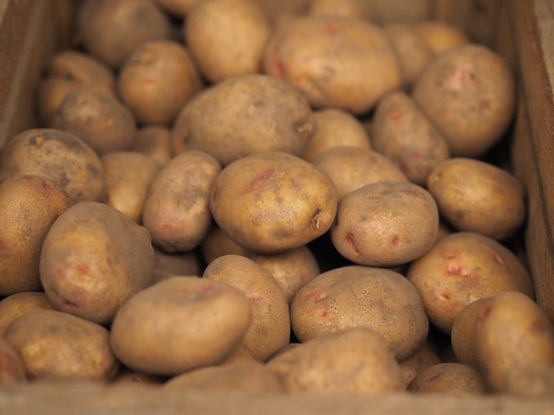 10 mẹo chọn và bảo quản khoai tây ai cũng nên biết - 3