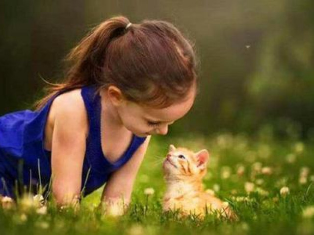 Bạn trẻ - Cuộc sống - Thấy con không thích tiếp xúc, yếu về kỹ năng xã hội, bố mẹ hãy cải thiện bằng cách này